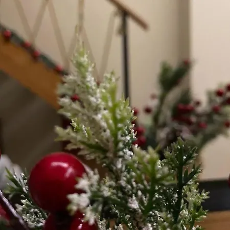 Duplex 3* コルチャ